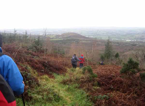 Photograph of Walking Route - Image 13