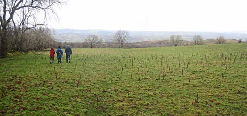 Photograph of Walking Route - Image 14