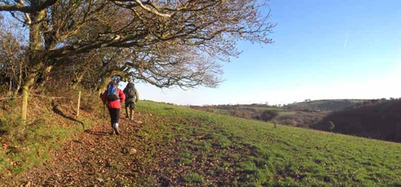 Photograph of Walking Route - Image 8