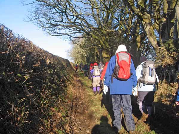 Photograph of Walking Route - Image 10