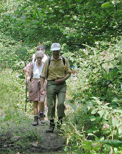 Photograph of Walking Route - Image 3