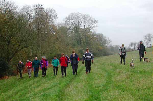 Photograph of Walking Route - Image 5