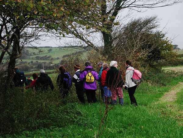 Photograph of Walking Route - Image 8