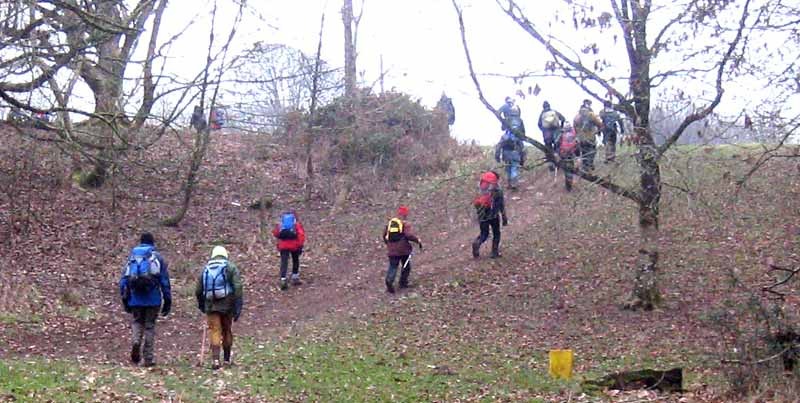 Photograph of Walking Route - Image 16