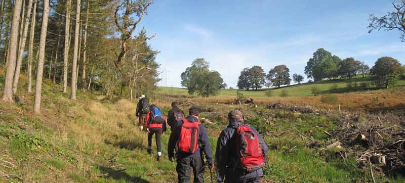 Photograph of Walking Route - Image 4