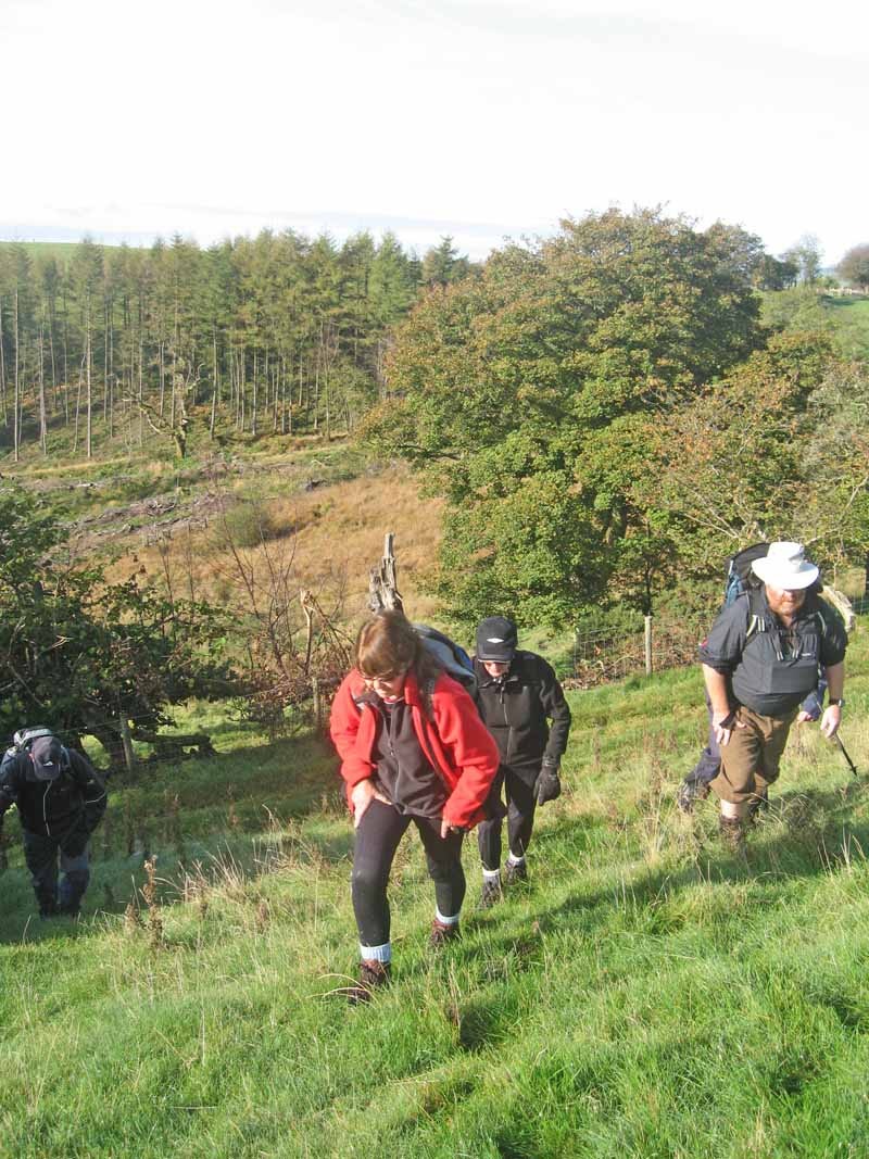 Photograph of Walking Route - Image 6