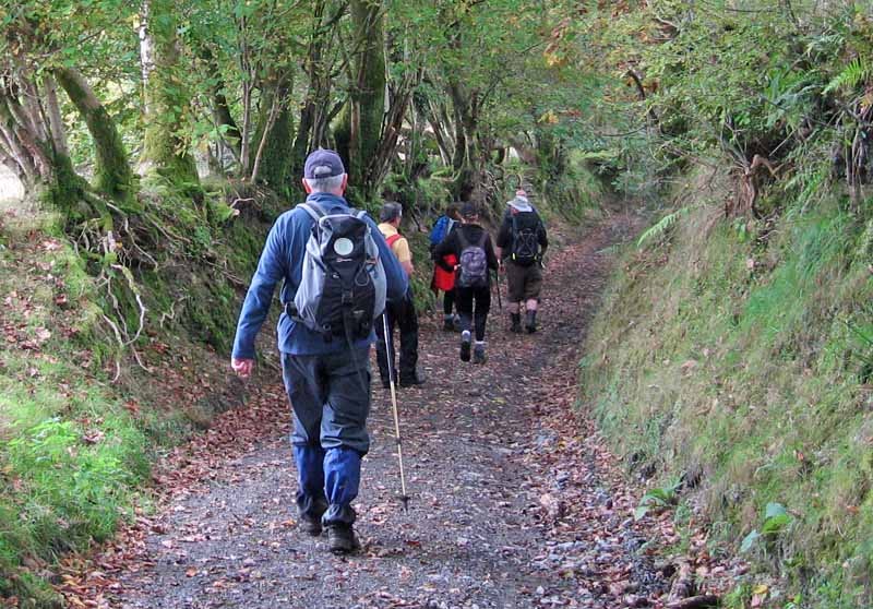 Photograph of Walking Route - Image 16