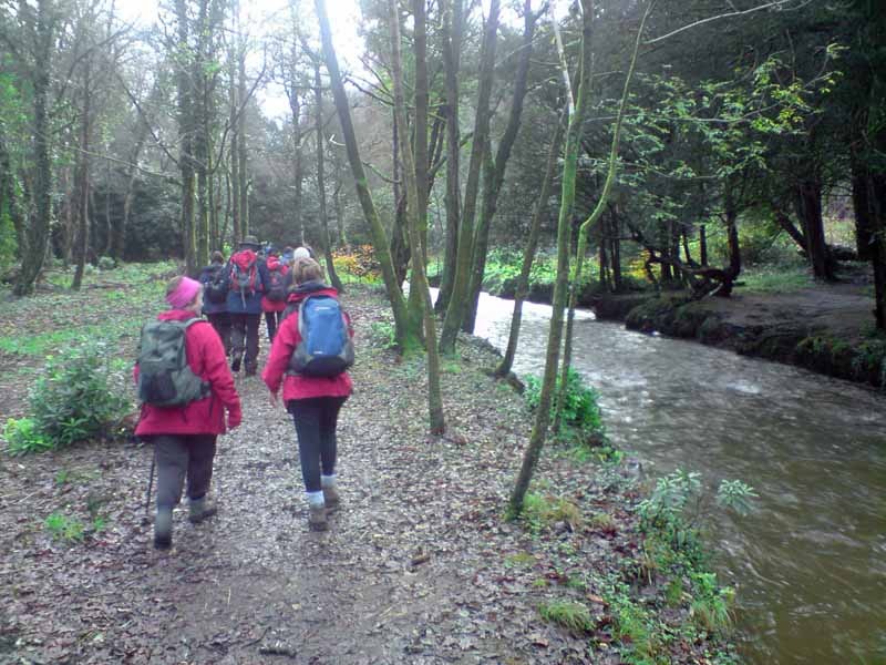 Photograph of Walking Route - Image 8