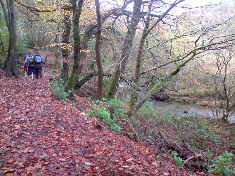 Photograph of Walking Route - Image 15