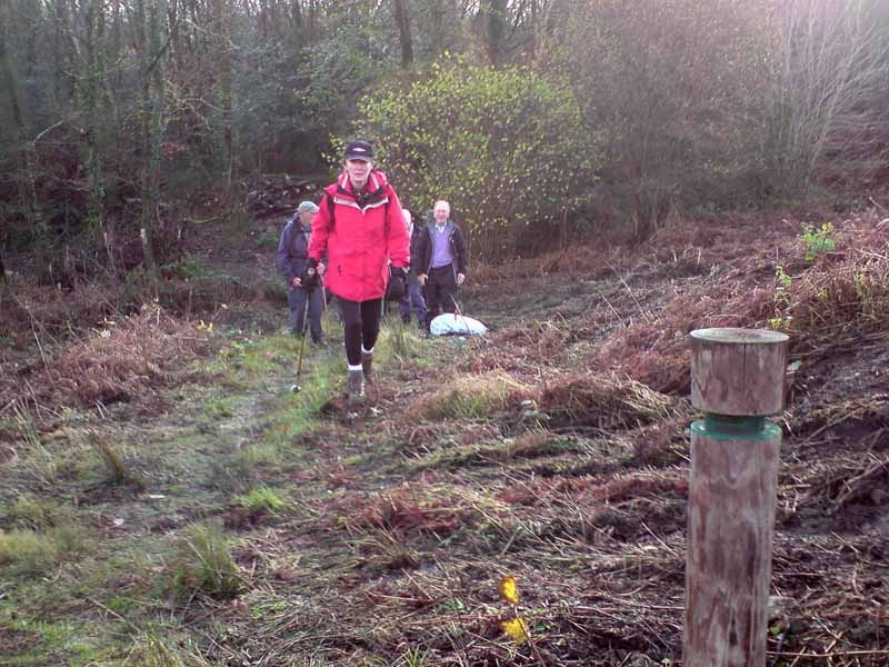 Photograph of Walking Route - Image 17