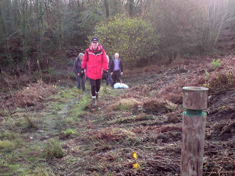 Photograph of Walking Route - Image 17