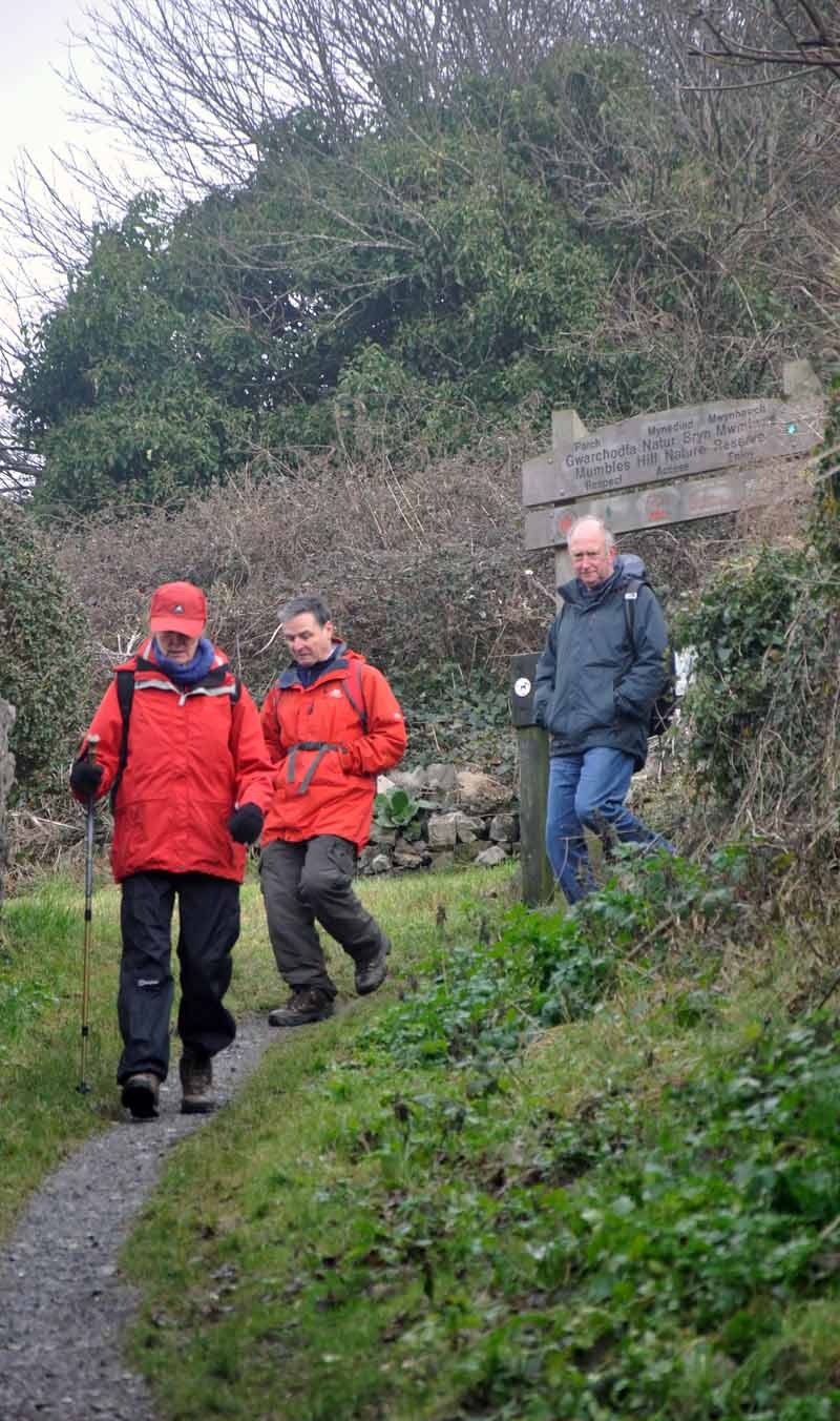 Photograph of Walking Route - Image 17