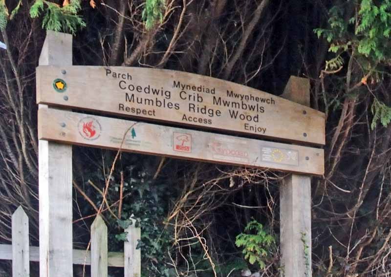 Photograph of Walking Route - Image 19