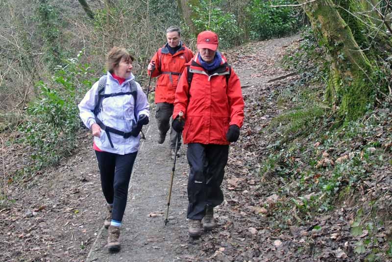 Photograph of Walking Route - Image 23