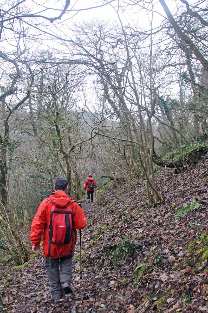 Photograph of Walking Route - Image 37