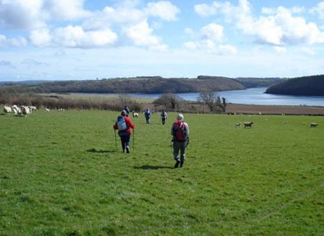 Photograph of Walking Route - Image 6