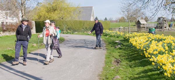 Photograph of Walking Route - Image 2