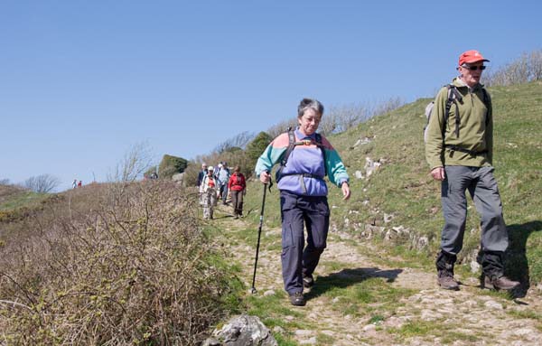 Photograph of Walking Route - Image 18