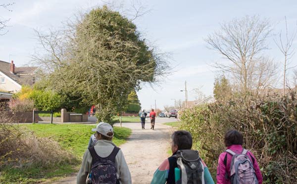 Photograph of Walking Route - Image 36