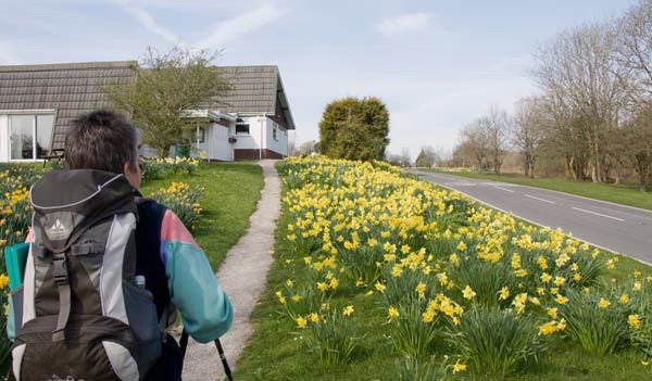 Photograph of Walking Route - Image 37