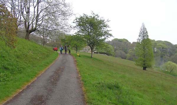 Photograph of Walking Route - Image 25
