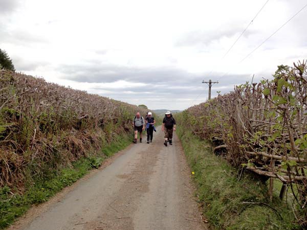 Photograph of Walking Route - Image 12