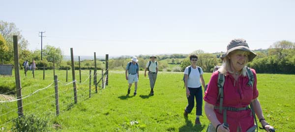 Photograph of Walking Route - Image 7
