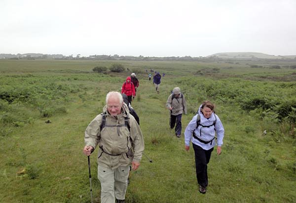 Photograph of Walking Route - Image 30