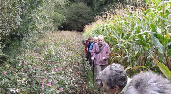 Photograph of Walking Route - Image 3