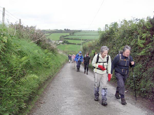 Photograph of Walking Route - Image 13