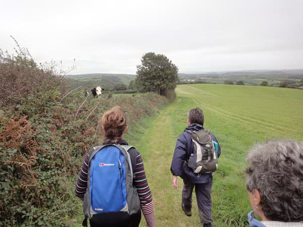 Photograph of Walking Route - Image 28