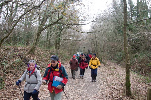 Photograph of Walking Route - Image 4