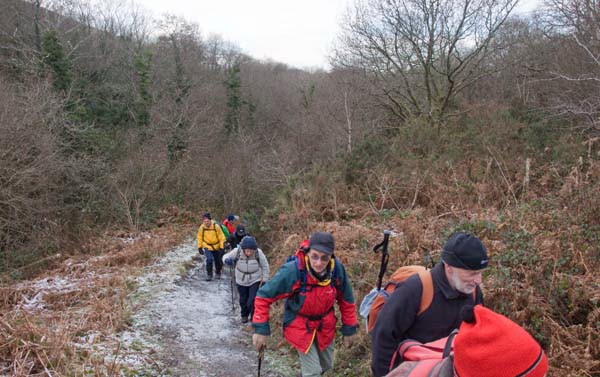 Photograph of Walking Route - Image 15