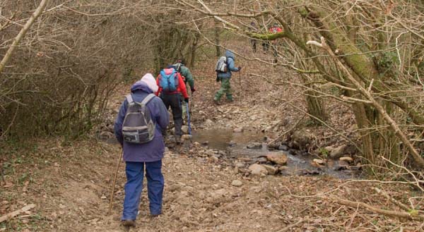 Photograph of Walking Route - Image 17