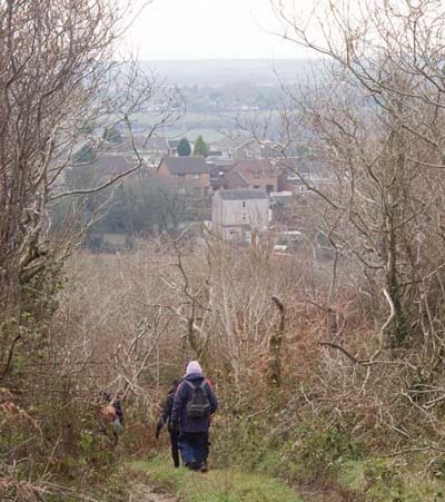 Photograph of Walking Route - Image 26