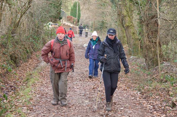 Photograph of Walking Route - Image 35