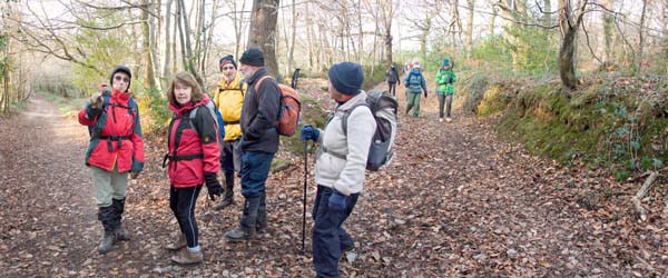 Photograph of Walking Route - Image 39