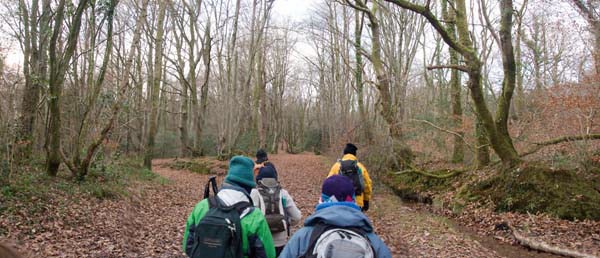 Photograph of Walking Route - Image 40