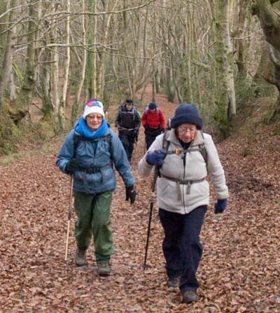 Photograph of Walking Route - Image 43