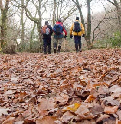 Photograph of Walking Route - Image 44