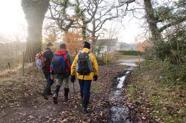 Photograph of Walking Route - Image 45