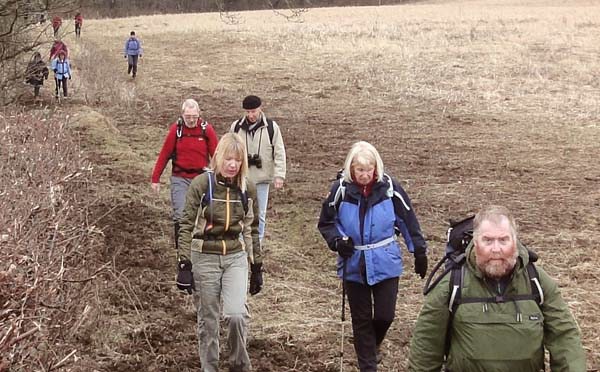 Photograph of Walking Route - Image 9