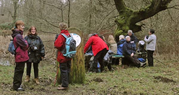 Photograph of Walking Route - Image 14