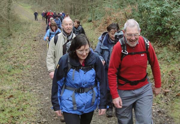 Photograph of Walking Route - Image 15