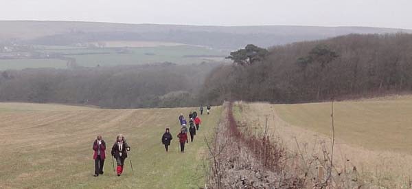 Photograph of Walking Route - Image 16