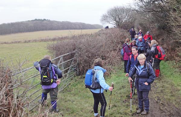 Photograph of Walking Route - Image 17