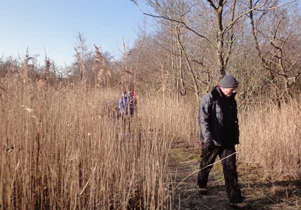 Photograph of Walking Route - Image 5