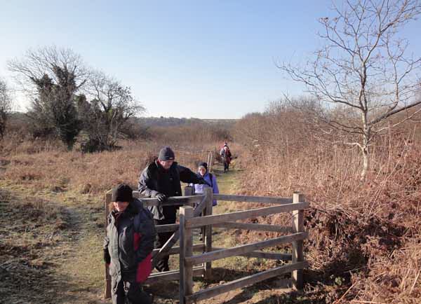 Photograph of Walking Route - Image 6