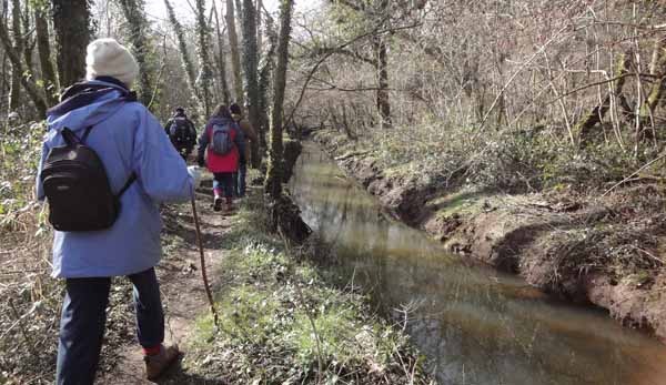 Photograph of Walking Route - Image 3