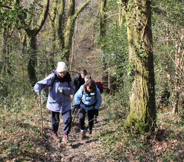 Photograph of Walking Route - Image 7